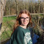 Offro ripetizioni e aiuto compiti a bambini e ragazzi di medie/superiori